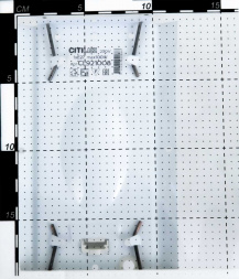 Настенный светильник Citilux Осень CL921008