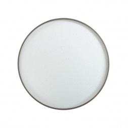 Настенно-потолочный светодиодный светильник Sonex Pale Geta silver 2076/EL