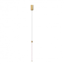 Подвесной светильник Maytoni Ray P022PL-L20G3K