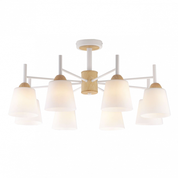 Потолочная люстра Eurosvet 70085/8 белый