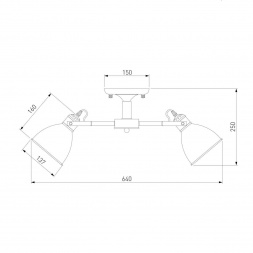 Потолочная люстра Eurosvet Denley 70112/5 черный