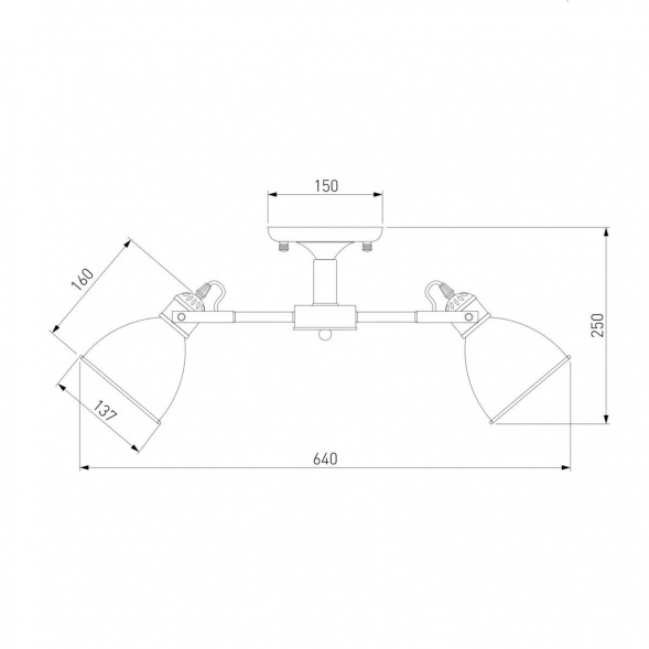 Потолочная люстра Eurosvet Denley 70112/5 черный