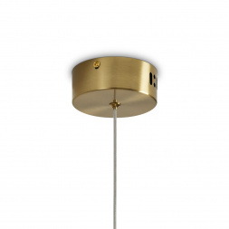 Подвесной светодиодный светильник Freya Lolli FR6139PL-L8BS