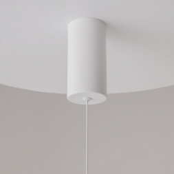 Подвесной светильник Maytoni Ray P022PL-L20W3K