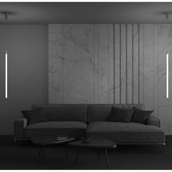 Подвесной светильник Maytoni Ray P022PL-L20W3K