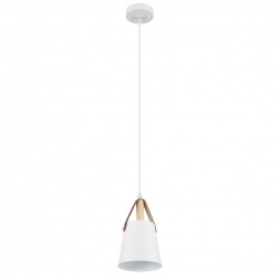 Подвесной светильник Arte Lamp THOMAS A7032SP-1WH