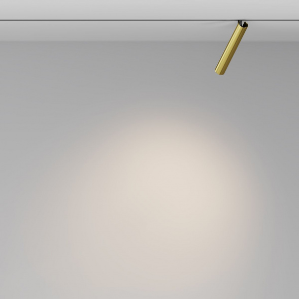 Трековый светодиодный светильник Maytoni Technical Magnetic Exility Focus T TR141-2-6W3K-M-BS