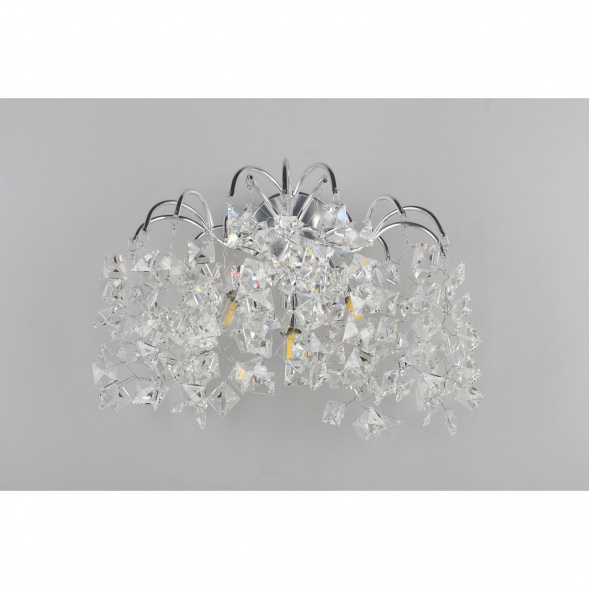 Настенный светильник Aployt Danusia APL.846.01.03