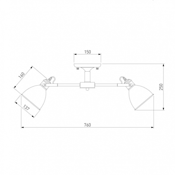 Потолочная люстра Eurosvet Denley 70112/8 черный