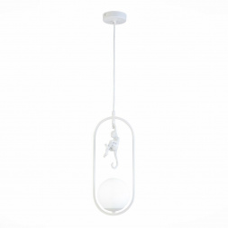 Подвесной светильник Evoluce Tenato SLE115123-01