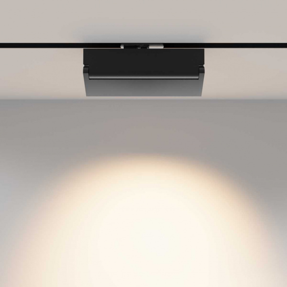 Трековый светильник Maytoni Technical TR224-1-12WCCT-M-B