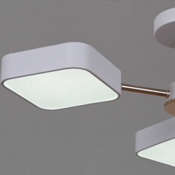 Светильник потолочный Reluce 03360-0.3-05 WH+FGD