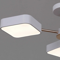 Светильник потолочный Reluce 03360-0.3-05 WH+FGD