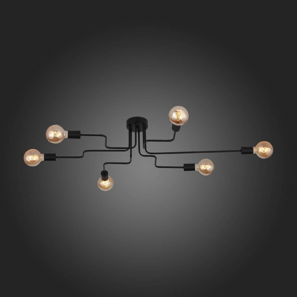 Потолочная люстра Evoluce Ano SL419.442.06