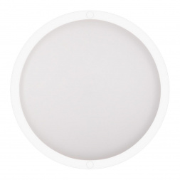 Настенно-потолочный светодиодный светильник Ritter DPP01-15-4K-MWS-R 56034 0