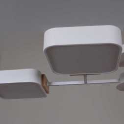 Светильник потолочный Reluce 03363-0.3-08 WH+WOOD