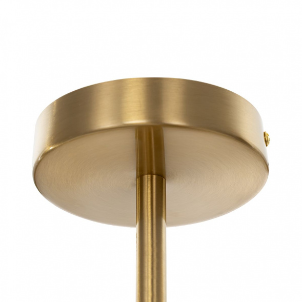 Потолочная люстра Citilux Ronny CL242163