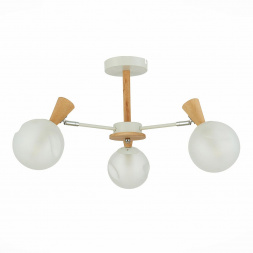 Потолочная люстра Evoluce Catania SLE220702-03