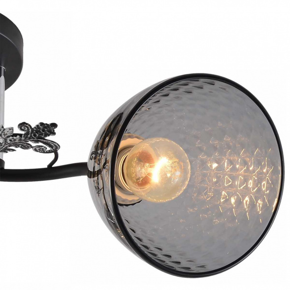 Потолочная люстра Reluce 01525-0.3-03 BK+CR