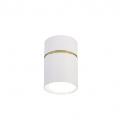 Потолочный светодиодный светильник Favourite Dunia 3067-1C