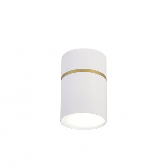 Потолочный светодиодный светильник Favourite Dunia 3067-1C