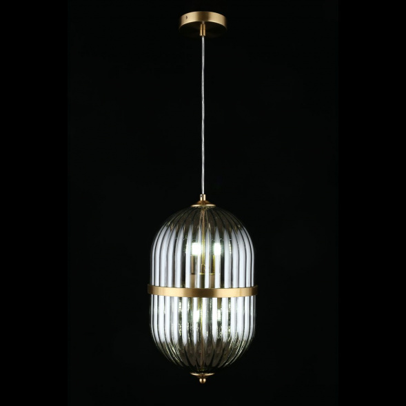 Подвесной светильник Aployt Ludovica APL.860.06.06