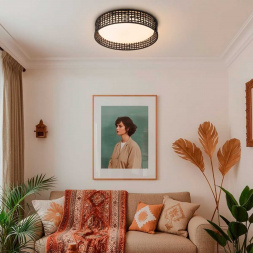 Потолочный светильник F-Promo 4750-4C