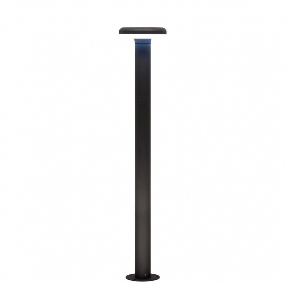 Уличный светодиодный светильник Citilux CLU01B