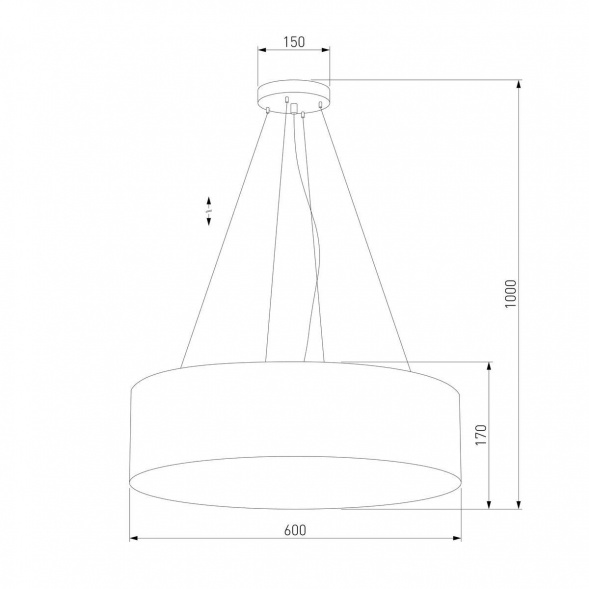 Подвесной светильник TK Lighting 4241 Rondo Graphite