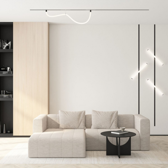 Трековый светодиодный светильник Denkirs Smart Ray DK8060-BK