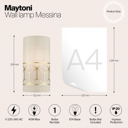 Настенный светильник Maytoni Messina H223-WL-01-G