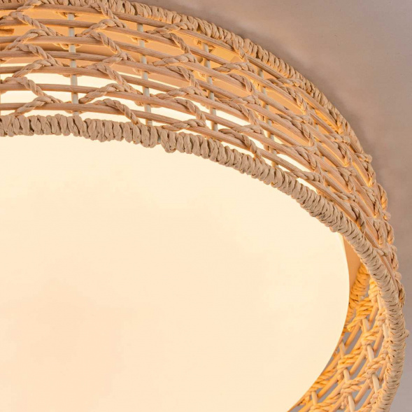 Потолочный светильник F-Promo 4749-4C