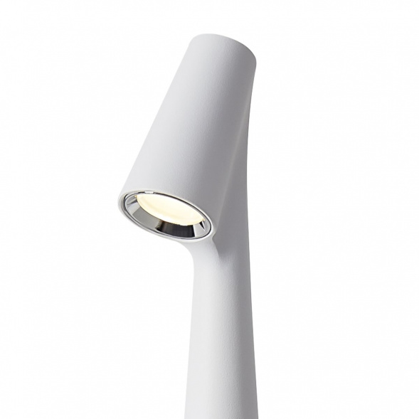 Настольная лампа Freya Clam FR6188TL-L3W