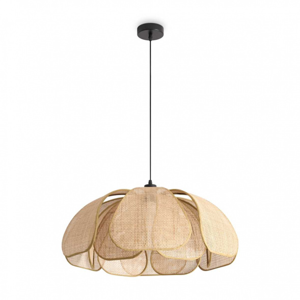 Подвесной светильник Freya Modern FR5529PL-01B