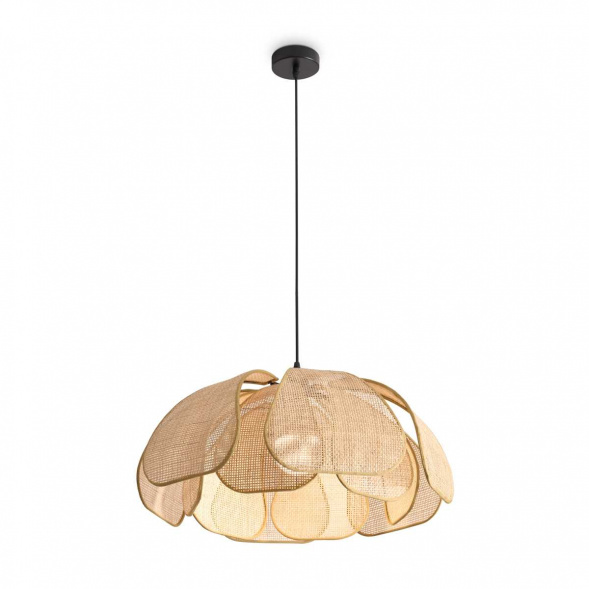 Подвесной светильник Freya Modern FR5529PL-01B