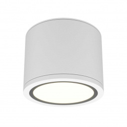 Потолочный светильник Maytoni Technical Rendo C095CL-GX53-W