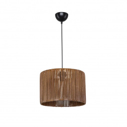 Подвесной светильник Toplight Bridgette TL1657H-01ND