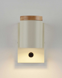 Светильник настенный Moderli Asheswood V11292-1W