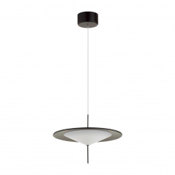 Подвесной светодиодный светильник Odeon Light Steka 5012/16L