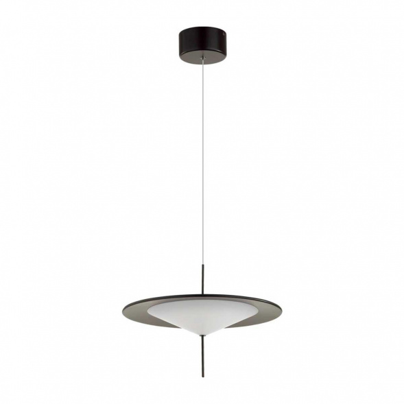 Подвесной светодиодный светильник Odeon Light Steka 5012/16L