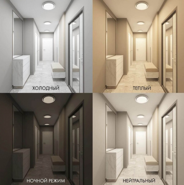 Потолочный светодиодный светильник Denkirs Cany DK6515-WH