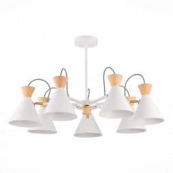 Потолочная люстра Evoluce Modica SLE125102-07