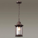 Уличный подвесной светильник Odeon Light Nature Mavret 4961/1