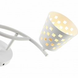 Потолочный светильник Reluce 01384-0.3-02 WH+CR