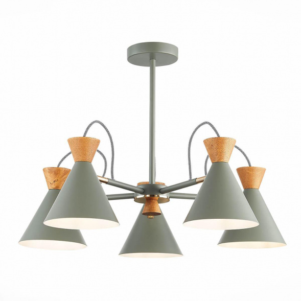 Потолочная люстра Evoluce Modica SLE125112-05