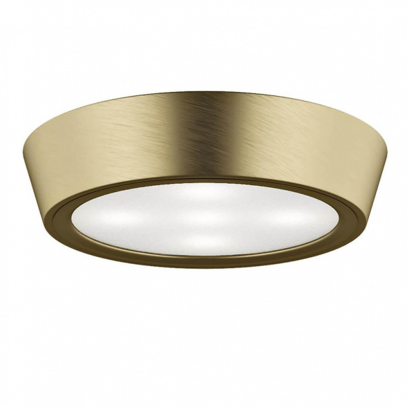 Потолочный светильник Lightstar Urbano Mini LED 214714