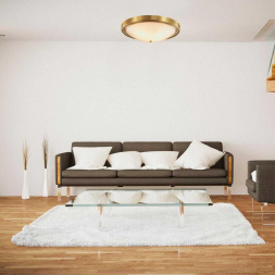 Настенно-потолочный светильник Lumion Vintage Nina 5259/4C