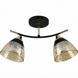 Потолочный светильник Reluce 01386-0.3-02 BK+FGD