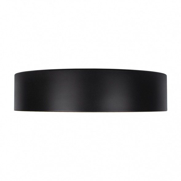Потолочный светодиодный светильник Loft IT Coin 10202 Black