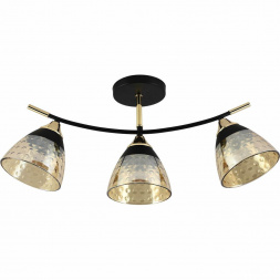 Потолочный светильник Reluce 01386-0.3-03 BK+FGD